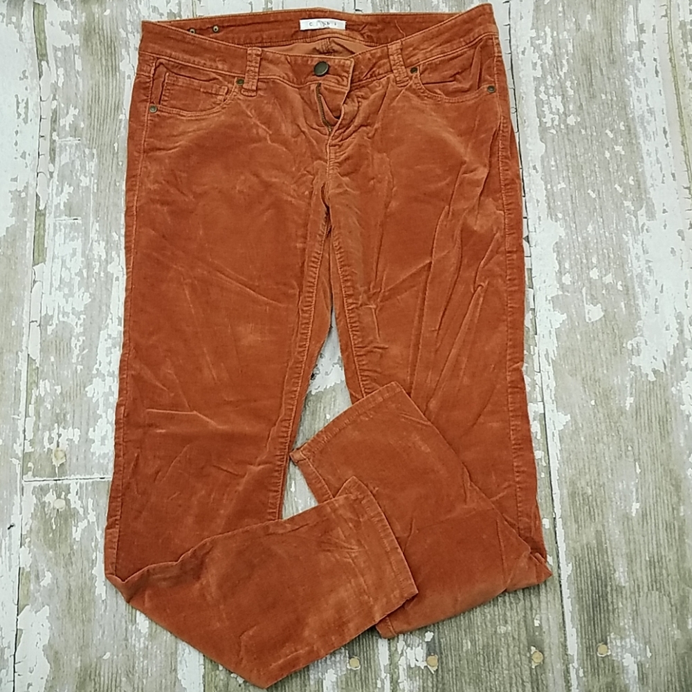 Nice CAbi cords